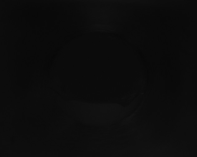 X0000115161453200911101740
