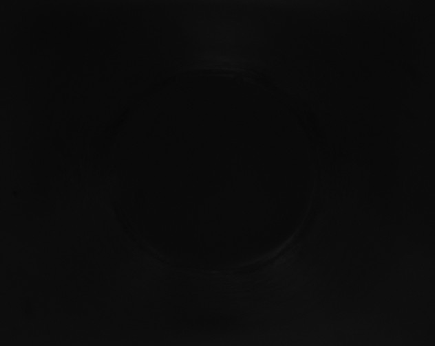 X0000115161455200911101740