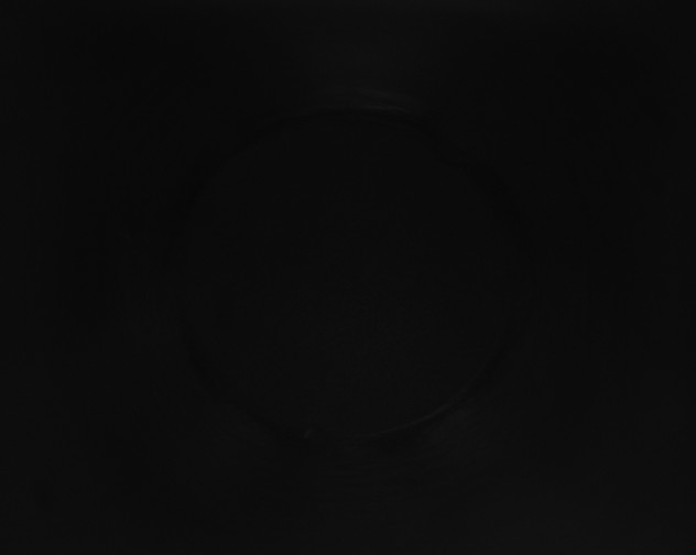 X0000115161459200911101740