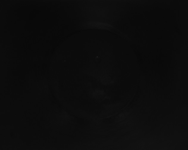 X0000115161472200911101739