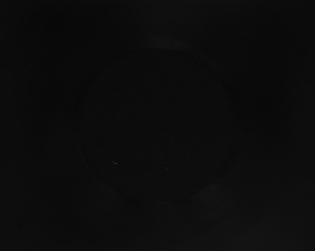 X0000115161479200911101739