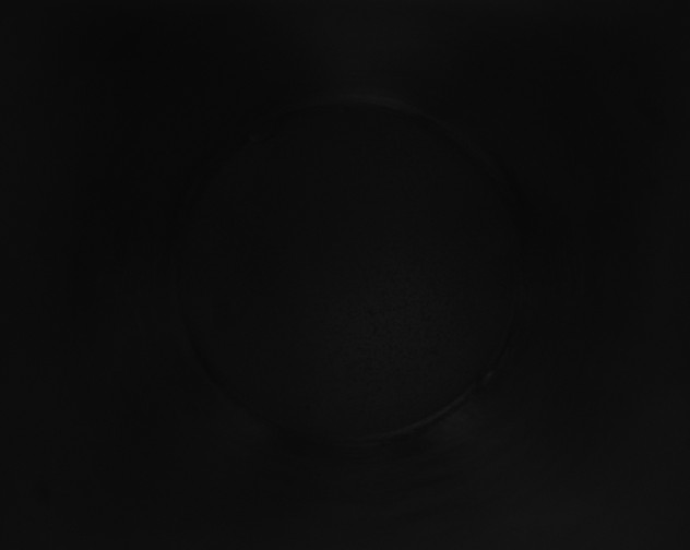 X0000115161484200911101739