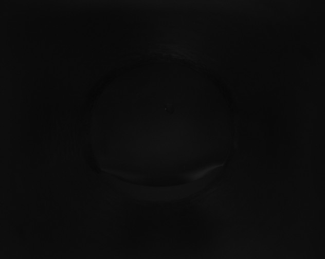 X0000115161491200911101739