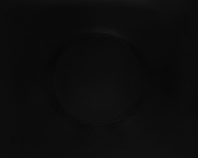 X0000115161494200911101739