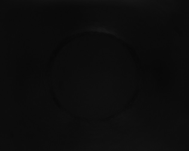 X0000115161495200911101739