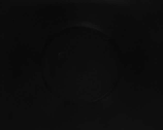 X0000115161503200911101739