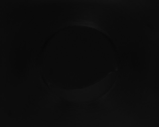 X0000115161506200911101739