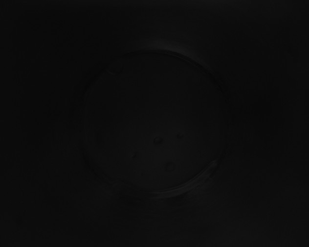 X0000115161509200911101739