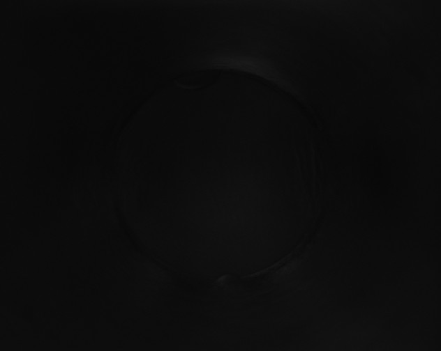 X0000115161517200911101739