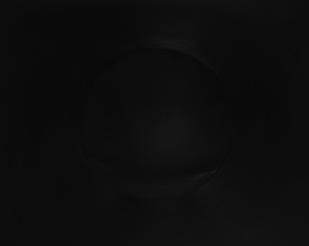 X0000115161531200911101739
