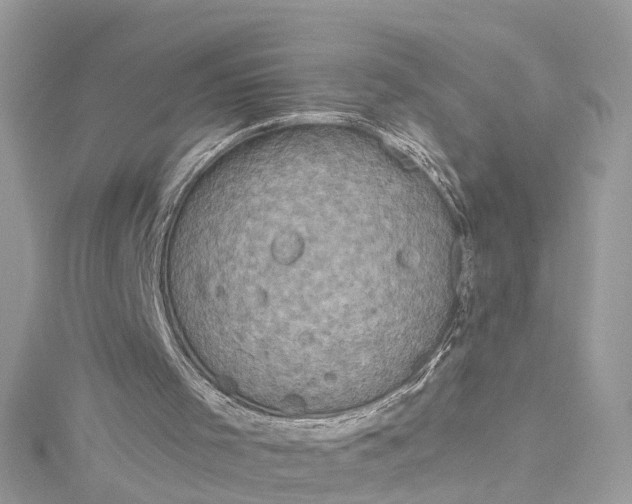 X0000115160001200911171311