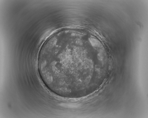 X0000115160002200911171311