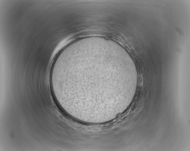 X0000115160004200911171311