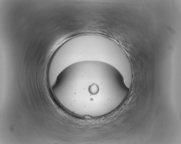 X0000115160005200911171311