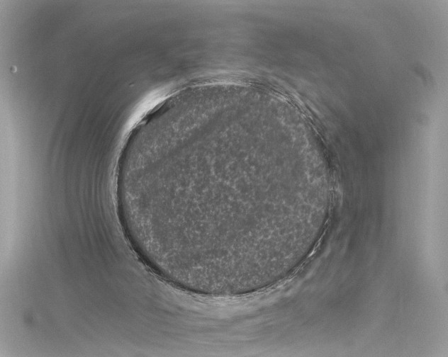 X0000115160006200911171311