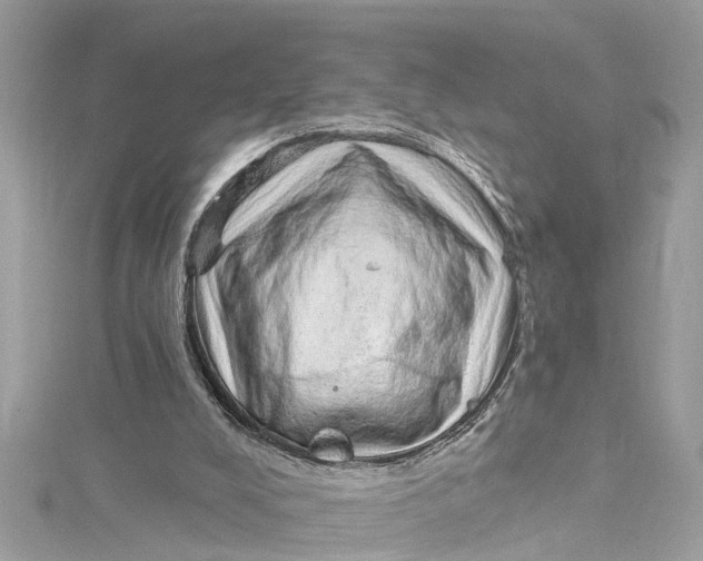 X0000115160008200911171311