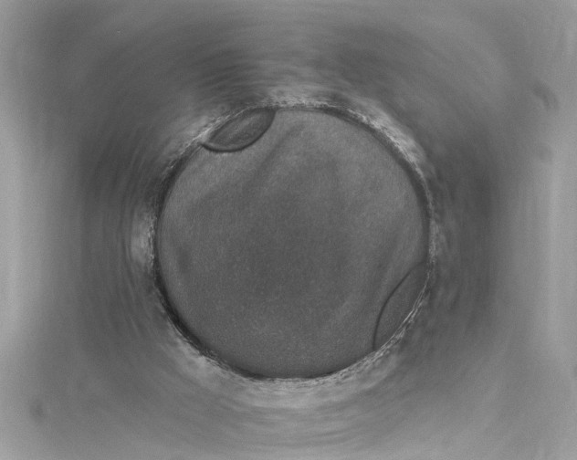 X0000115160009200911171311