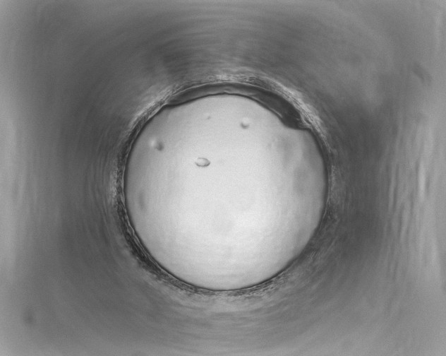 X0000115160010200911171311