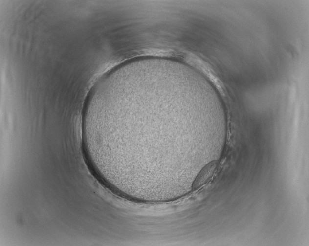 X0000115160011200911171311