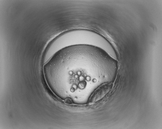 X0000115160012200911171311