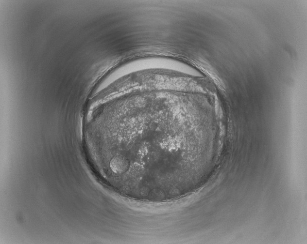 X0000115160014200911171311