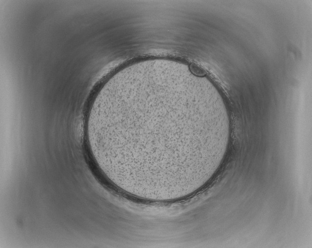 X0000115160016200911171311