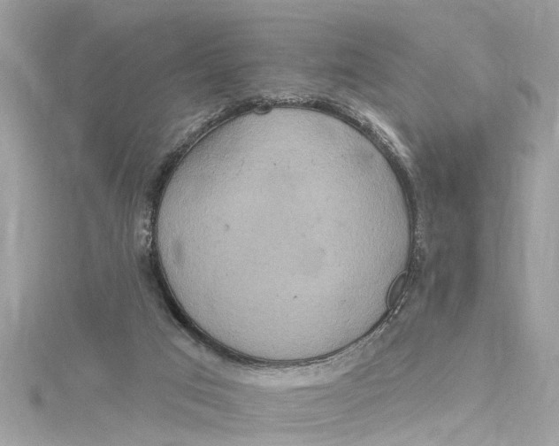 X0000115160017200911171311