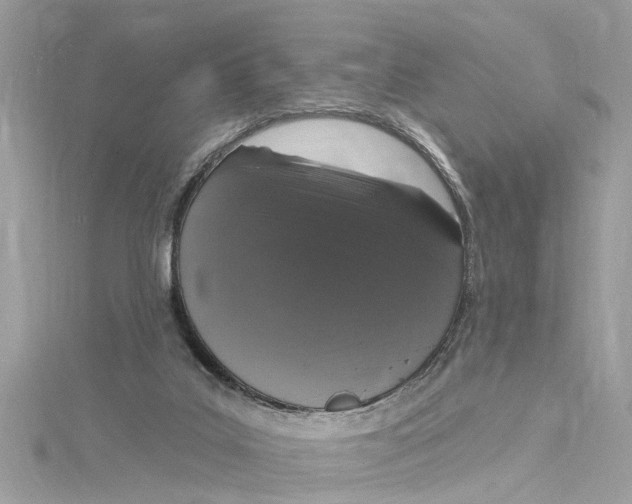 X0000115160019200911171311