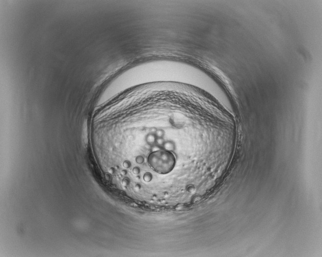 X0000115160020200911171311