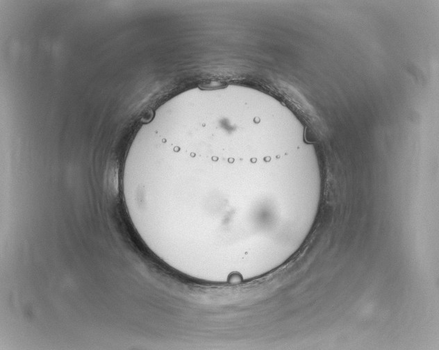 X0000115160021200911171311