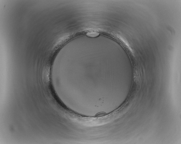 X0000115160023200911171311