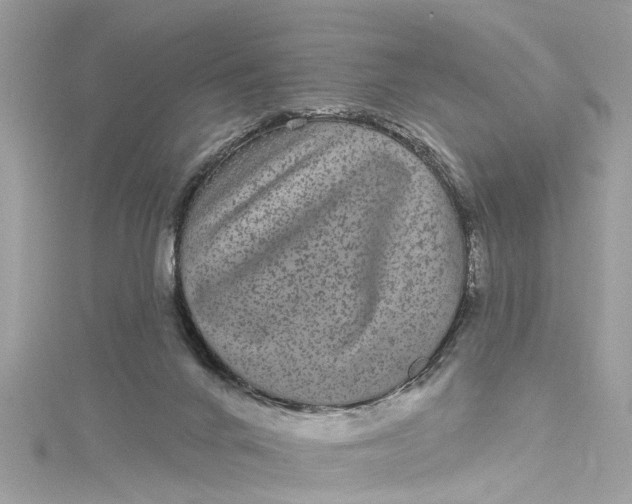 X0000115160024200911171311