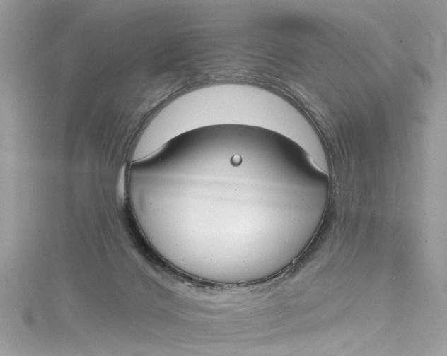 X0000115160028200911171311