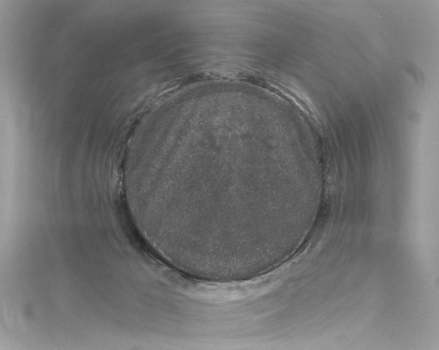 X0000115160029200911171310