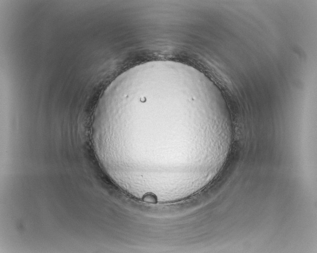 X0000115160030200911171310