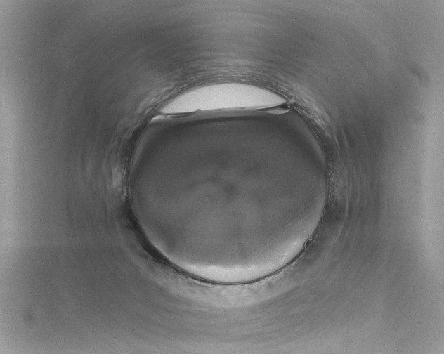 X0000115160031200911171310