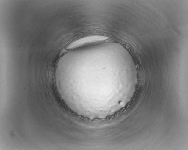 X0000115160034200911171310