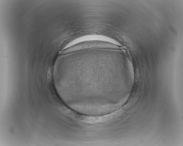 X0000115160037200911171310