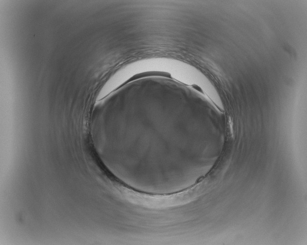 X0000115160039200911171310