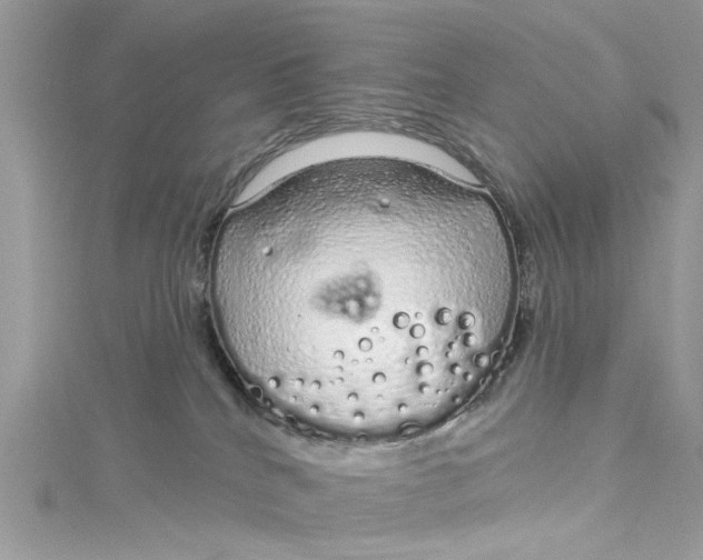 X0000115160040200911171310