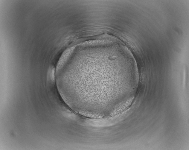 X0000115160041200911171310