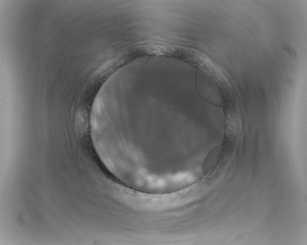 X0000115160043200911171310