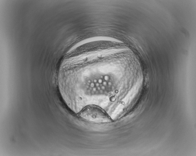 X0000115160044200911171310