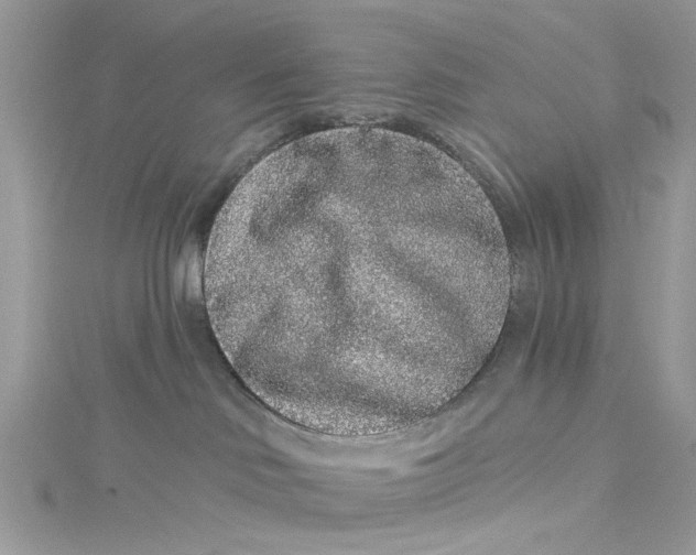 X0000115160046200911171310