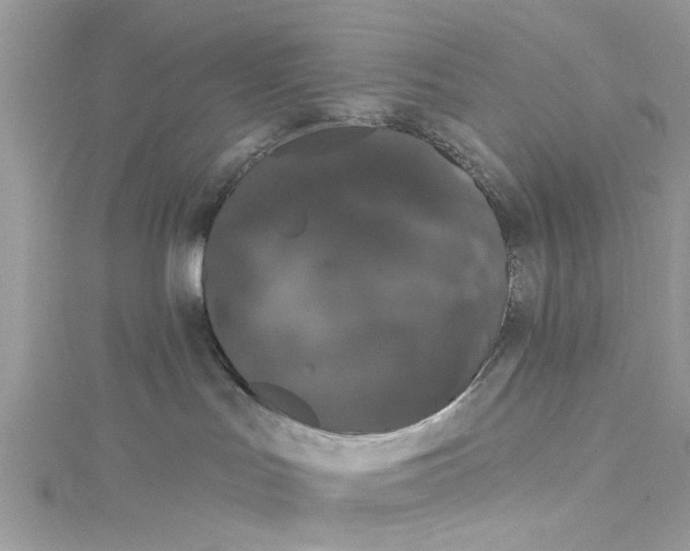 X0000115160047200911171310