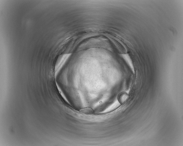 X0000115160048200911171310