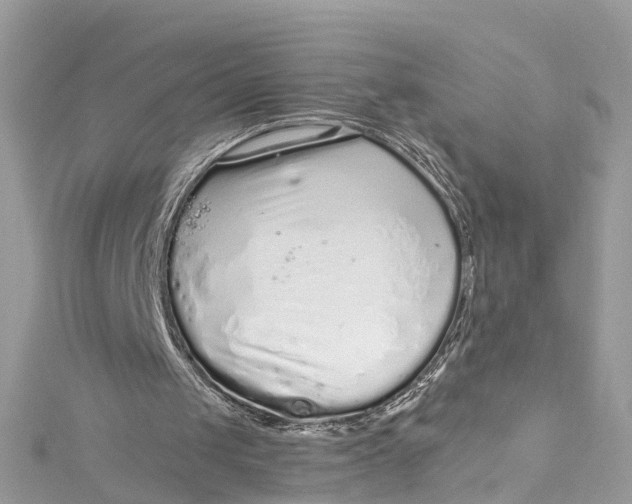 X0000115160049200911171310