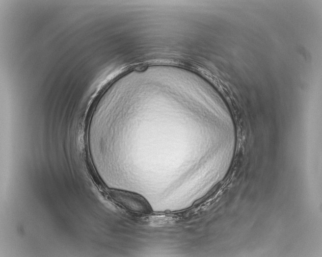 X0000115160050200911171310