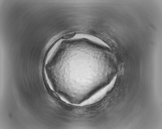 X0000115160051200911171310