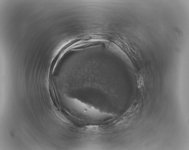 X0000115160052200911171310